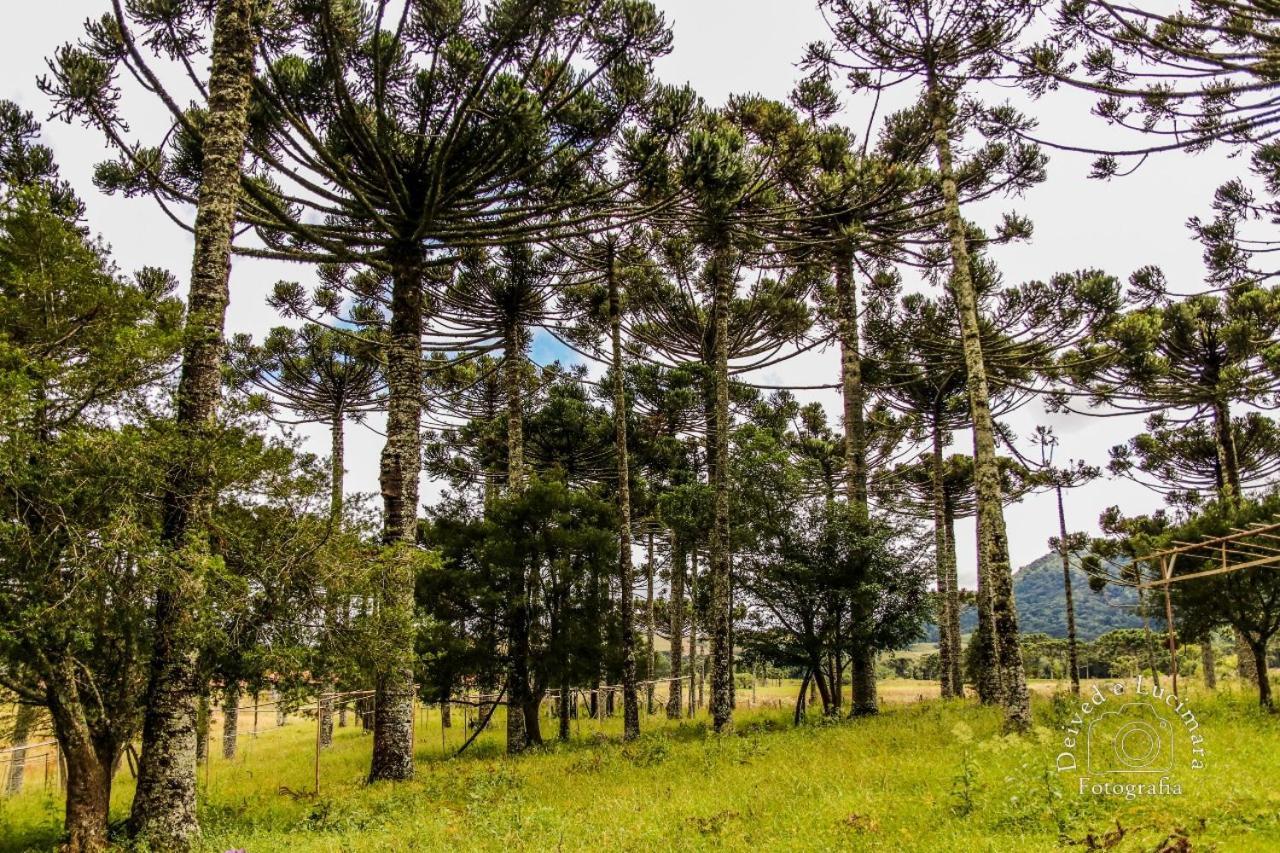 Refugio Do Lago Lages Buitenkant foto